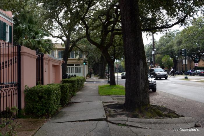 Garden District