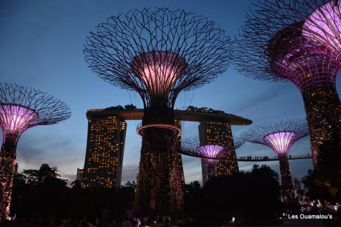 Singapour - Gardens by the Bay