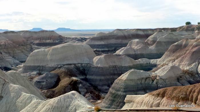 Painted Desert