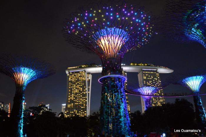 Singapour - Gardens by the Bay