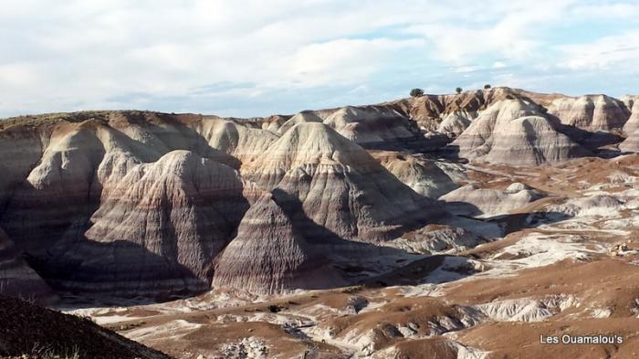 Painted Desert