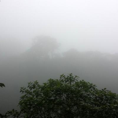 Le volcan Tenorio est derrière la brume !!!