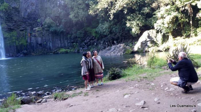 Whangarei Falls