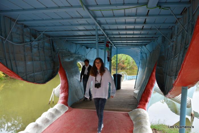 Marie et Louise dans la baleine bleue