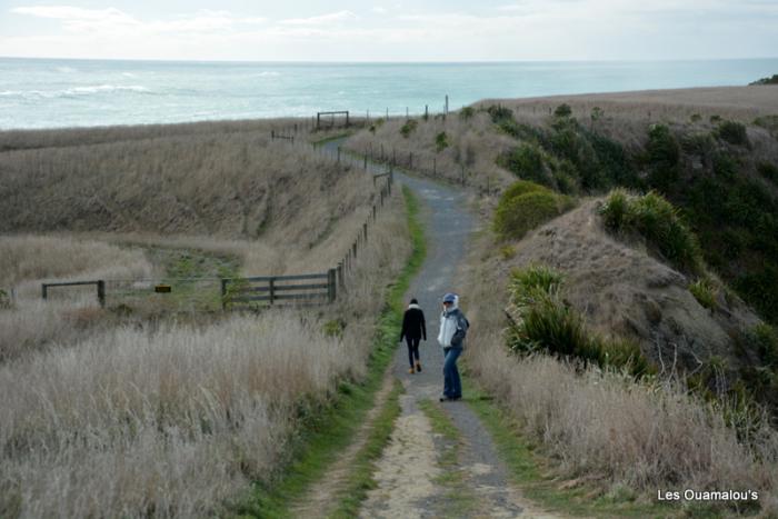 Kaikoura