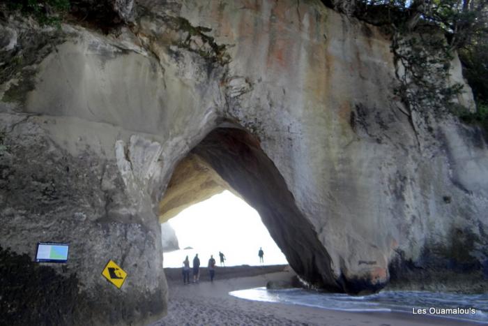 Cathedral Cove