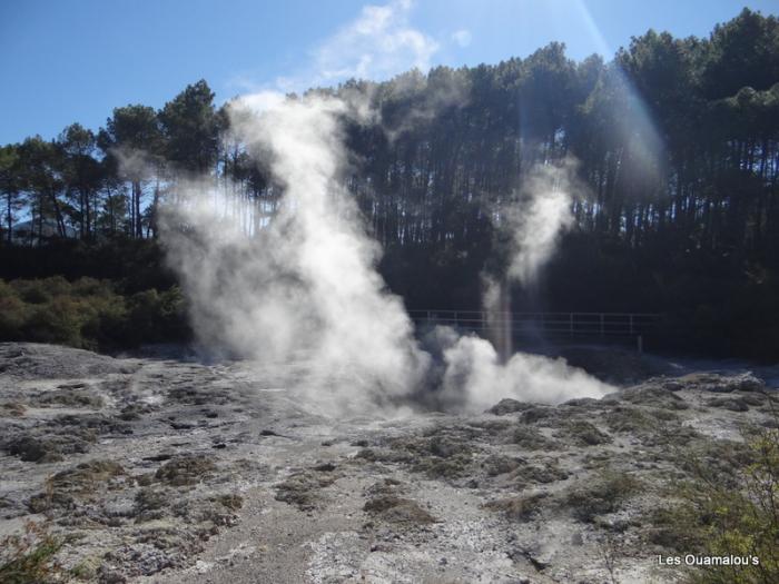 Wai O Tapu