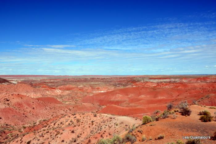 Painted Desert