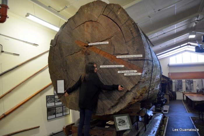 Kauri museum à Matakohe