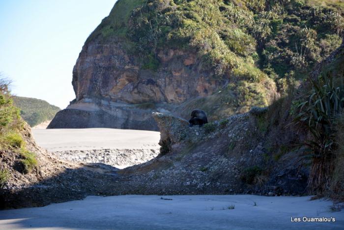 Wharakiri beach