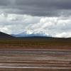 Balade à Salinas y Aguada Blanca (Altitude > 4000 mètres)