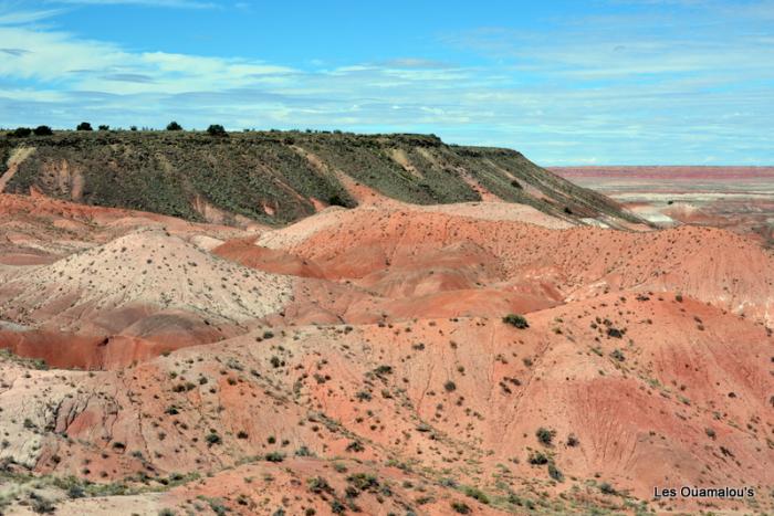 Painted Desert