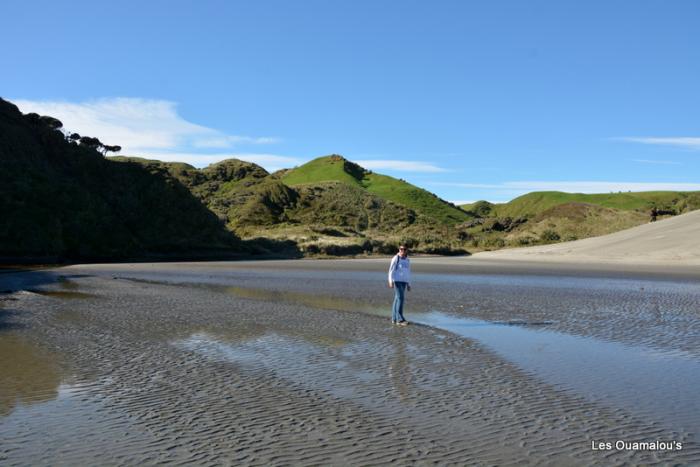 Wharakiri beach