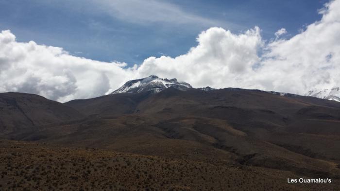 Balade à Salinas y Aguada Blanca (Altitude > 4000 mètres)