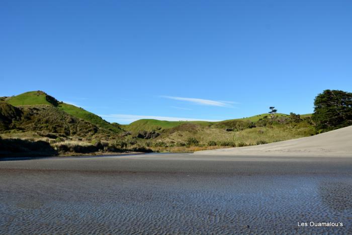 Wharakiri beach