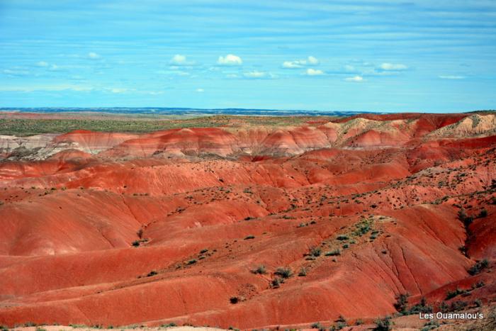 Painted Desert