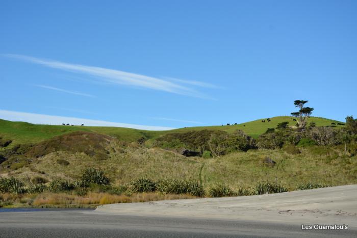 Wharakiri beach