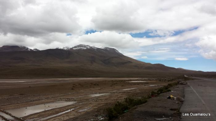 Balade à Salinas y Aguada Blanca (Altitude > 4000 mètres)