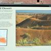 Painted Desert