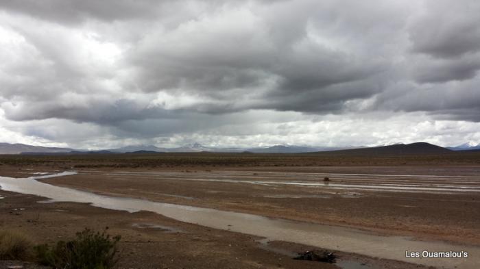 Balade à Salinas y Aguada Blanca (Altitude > 4000 mètres)