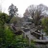 Zoo de Christchurch