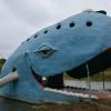 La baleine bleue de Catoosa