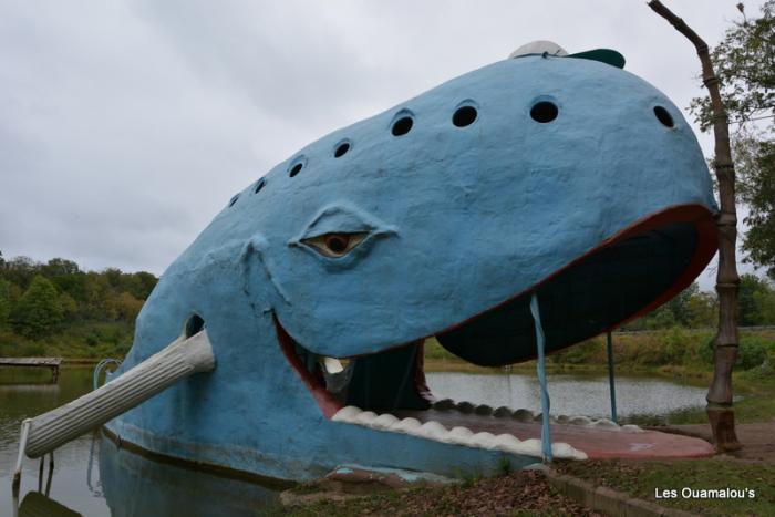 La baleine bleue de Catoosa