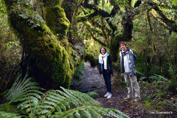 Egmont National Park