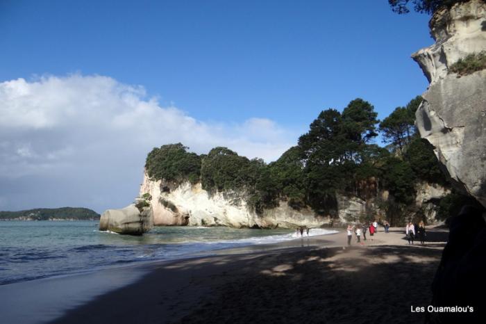 Cathedral Cove