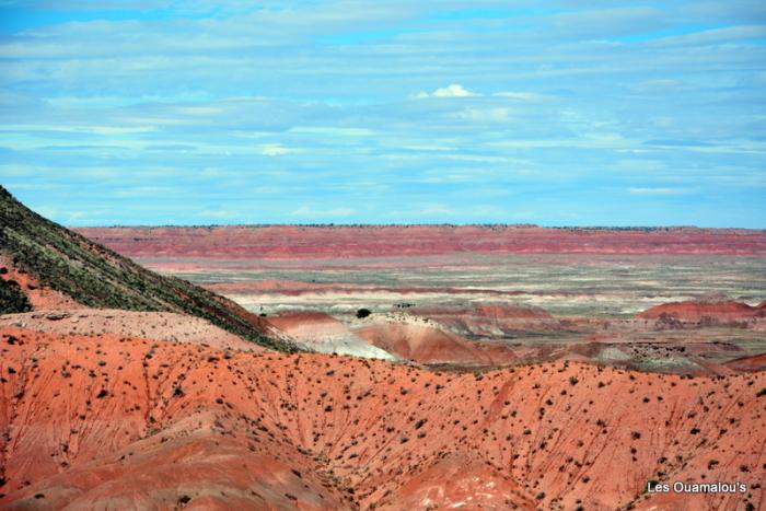 Painted Desert