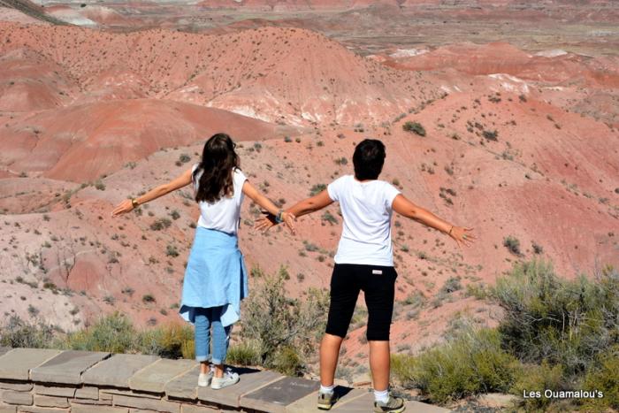 Painted Desert