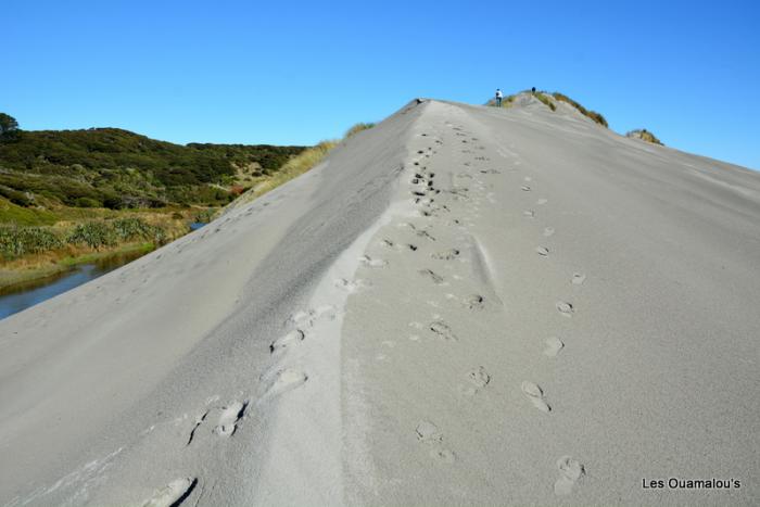 Wharakiri beach