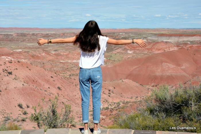 Painted Desert