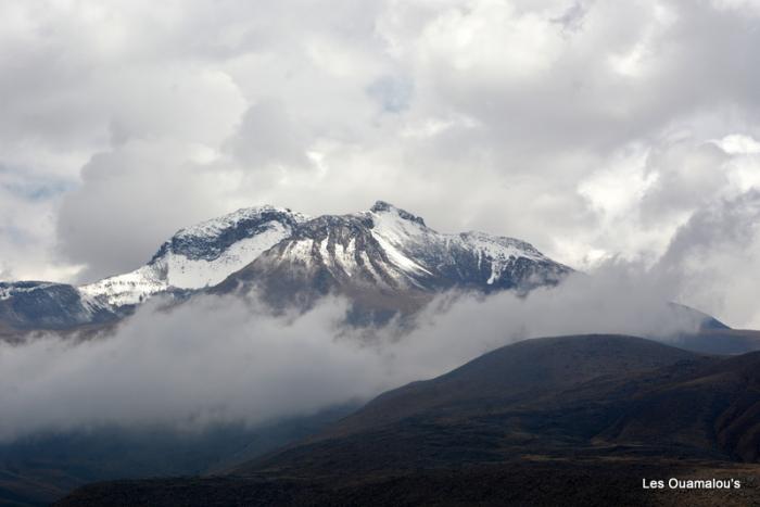 Balade à Salinas y Aguada Blanca (Altitude > 4000 mètres)