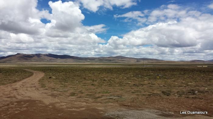 Balade à Salinas y Aguada Blanca (Altitude > 4000 mètres)