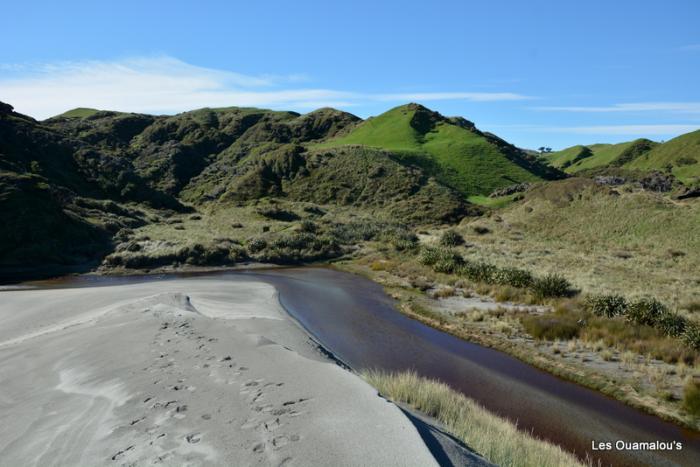 Wharakiri beach