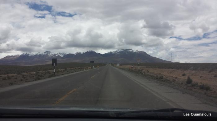 Balade à Salinas y Aguada Blanca (Altitude > 4000 mètres)