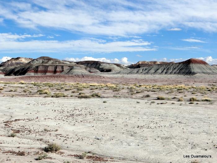 Painted Desert