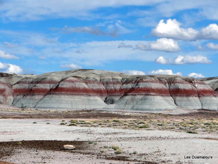 Painted Desert