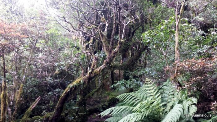 Egmont National Park