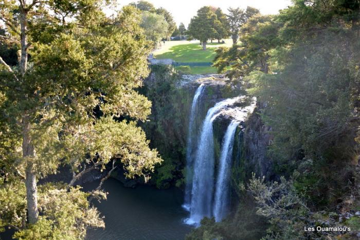 Whangarei Falls