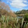 Huka Falls