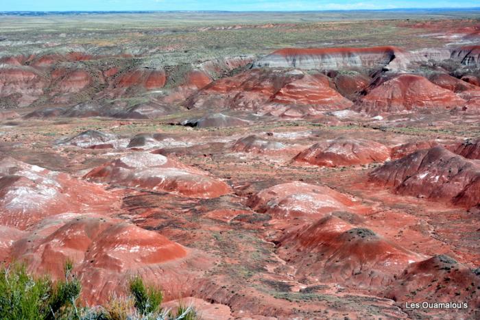 Painted Desert