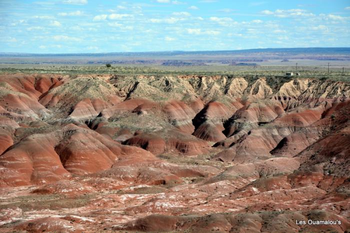 Painted Desert