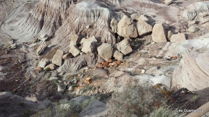 Painted Desert