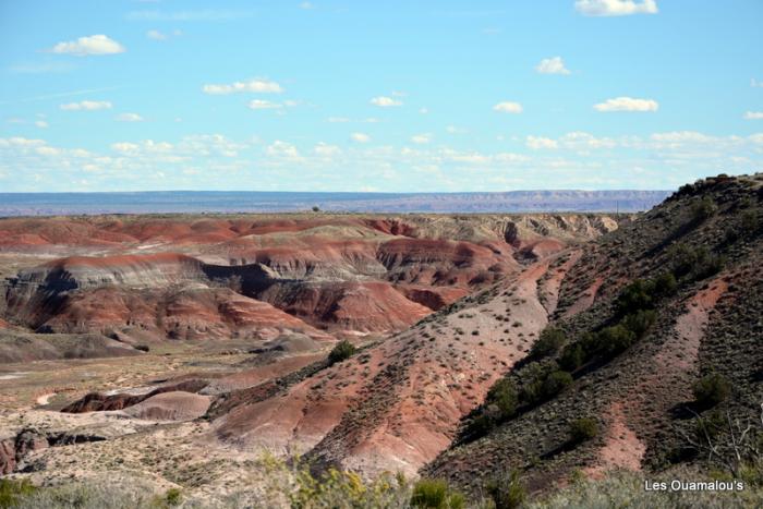 Painted Desert