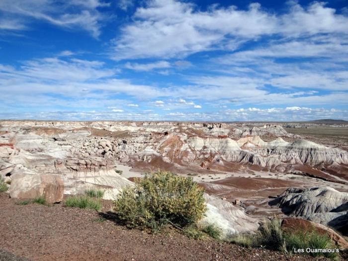 Painted Desert