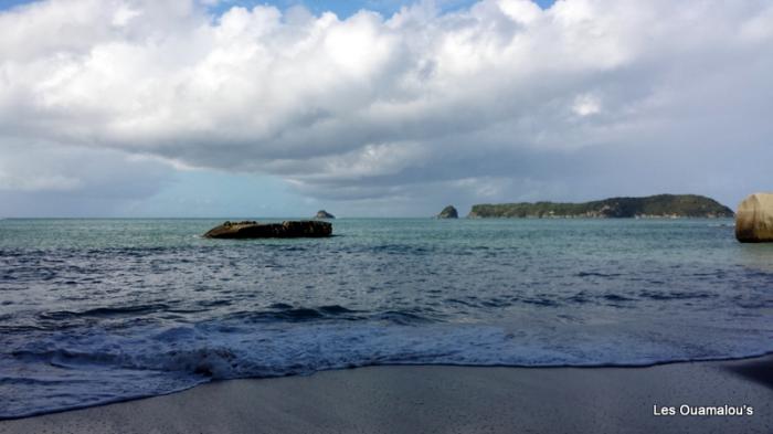 Cathedral Cove