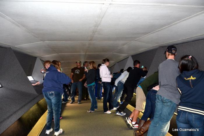 En haut de la Gateway Arch