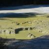 Wai O Tapu